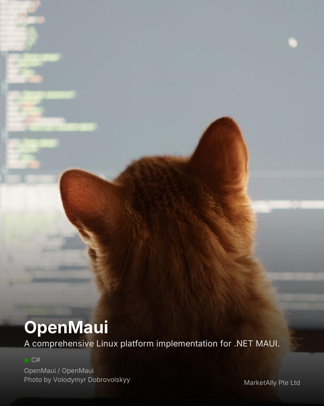 Build Native Linux Apps with .NET MAUI - OpenMaui